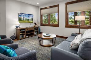 Télévision, cheminée, lecteur de DVD