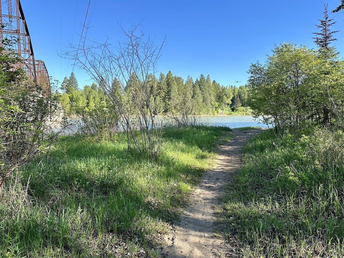 A dirt path leading to a body of water, surrounded by trees and vegetation.