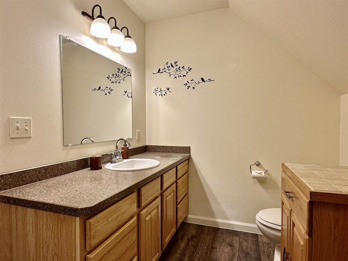 A bathroom with a granite countertop sink, wooden cabinets, a mirror with lights, and wall decals of birds and branches.