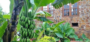 Jardín
