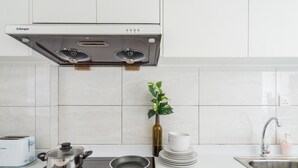Moderni keittiö, jossa on sisäänrakennettu liesi, leivänpaahdin, pesuallas ja ruukkukasvi.
