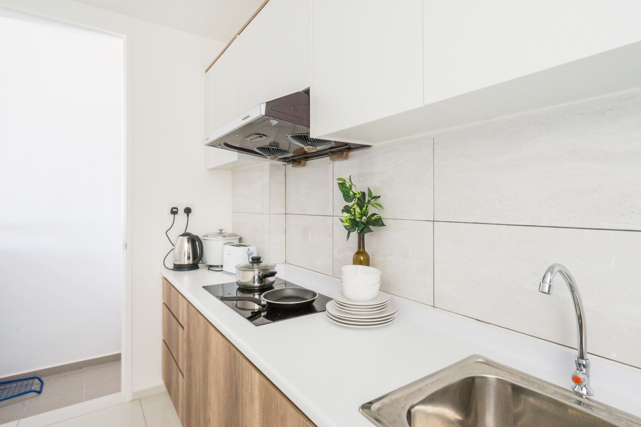 A modern kitchen with a stainless steel sink, a built-in stove, and a small potted plant.