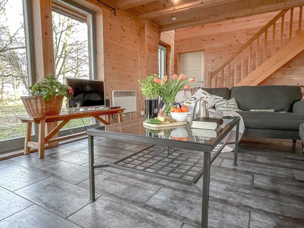 Fernseher, Kamin, DVD-Player