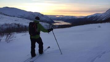 Iemand skiënd op een met sneeuw bedekte helling, met zicht op bergen en een meer in de verte.