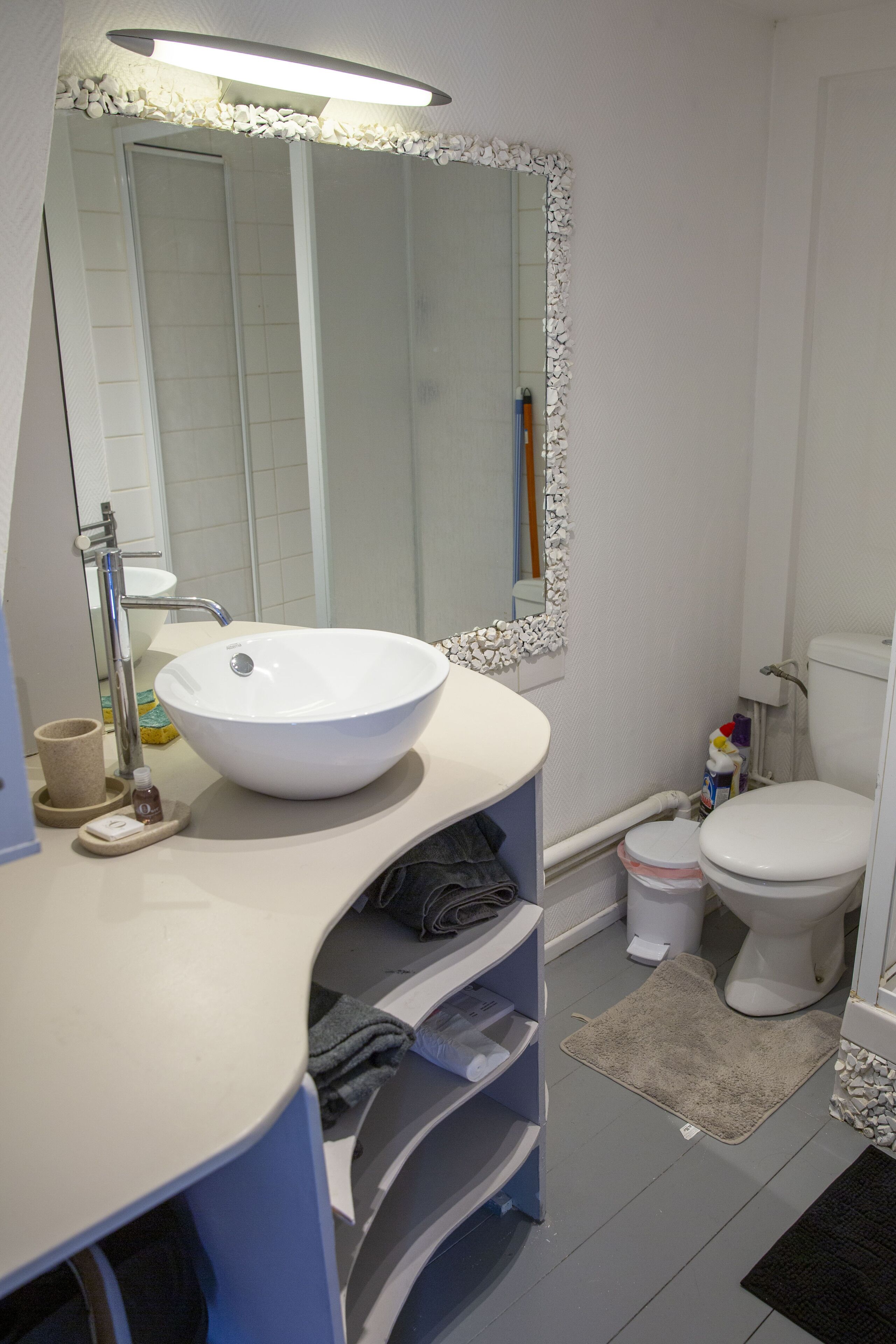 The private apartment Roissy / Parc astérix