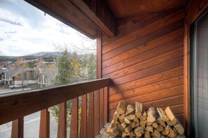 Property grounds - GREAT PLACE IN BRECKENRIDGE (Breckenridge)