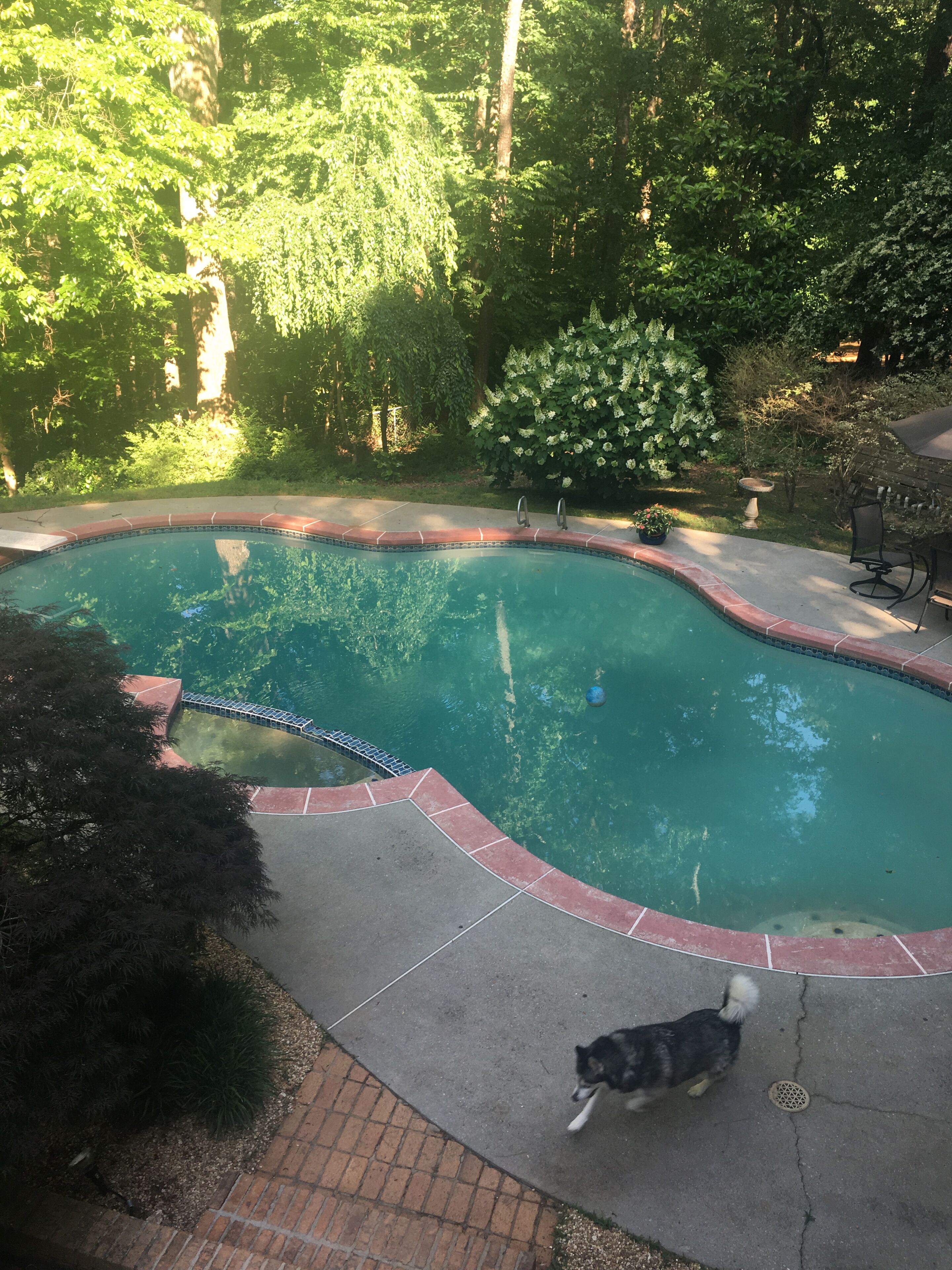 Splendor-in-the-Woods 5-StarGardenApt Patio & Pool 6Guests LongStays Commercial