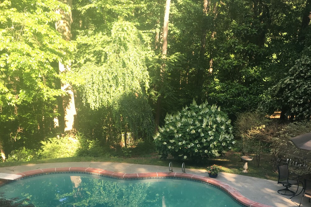 Splendor-in-the-Woods 5-StarGardenApt Patio & Pool 6Guests LongStays Commercial