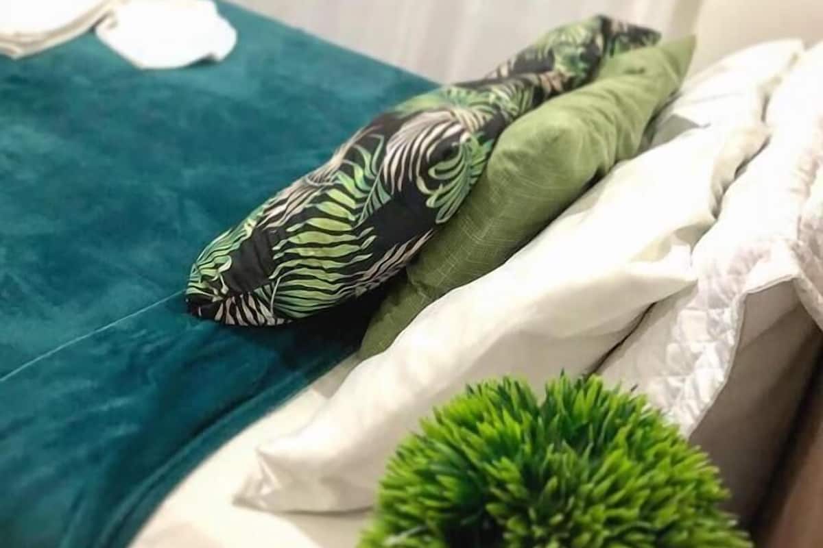 Una cama con una colcha color turquesa, un almohadón verde y un almohadón blanco. Hay una pequeña planta verde sobre la cama.