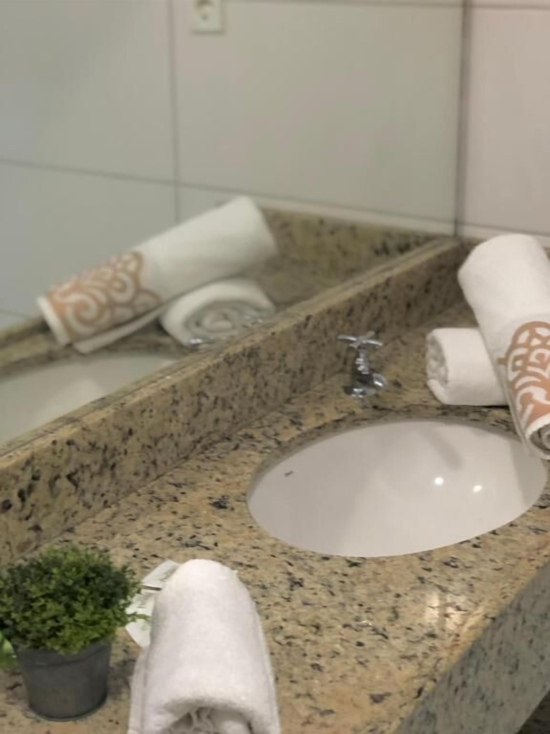 A bathroom with a granite countertop, a sink, a mirror, and a potted plant.