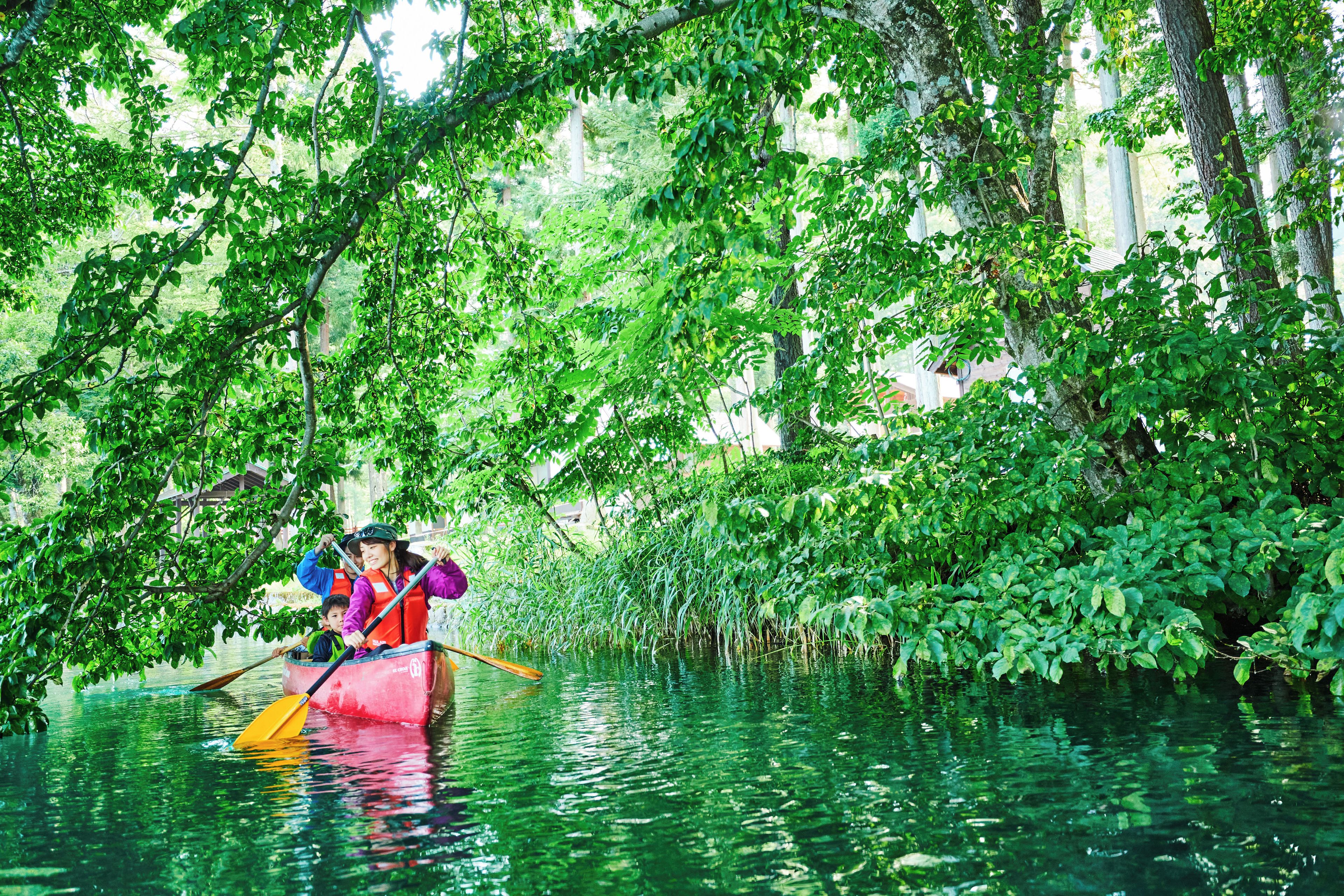 Un grupo de personas en una canoa, navegando por un río rodeado de densa vegetación.