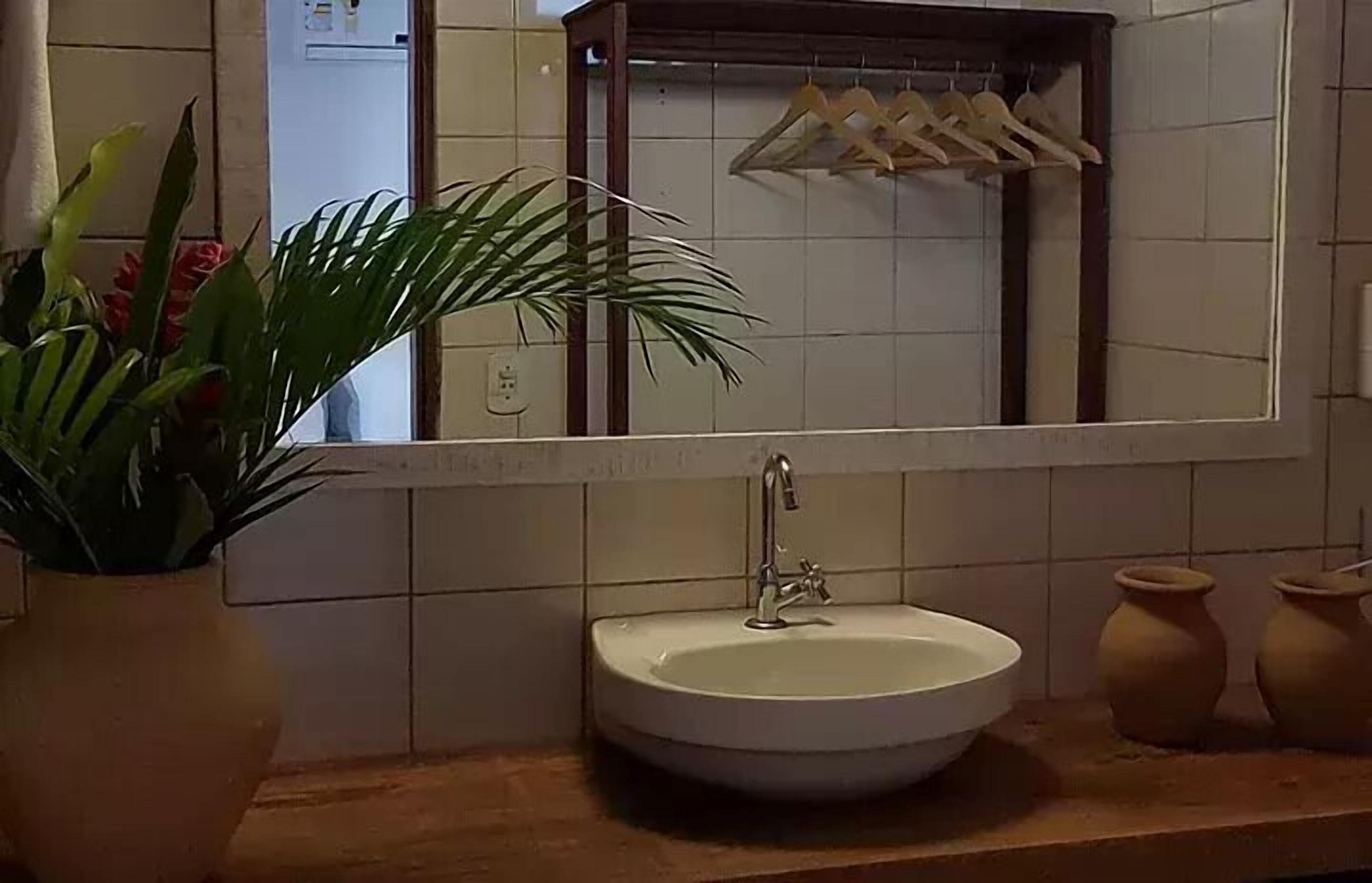 A bathroom with a white sink, a mirror, and a potted plant.