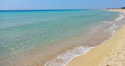 MARGARITA apartment from 4 to 5 places 220 meters from the sea Lido Marini