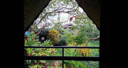 Ilhabela, rest, leisure, gastronomy, family and parties