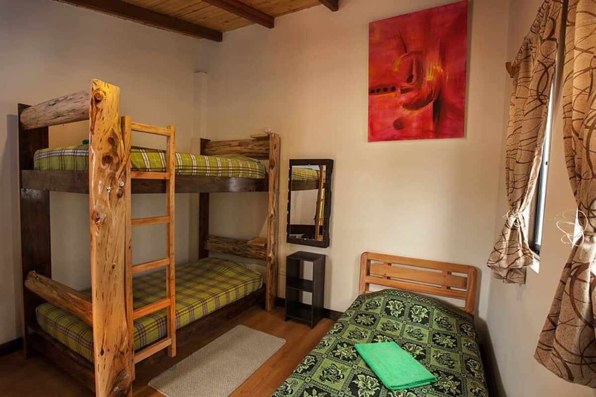 Shared Dormitory, Mixed Dorm (3 Beds) | Iron/ironing board, free WiFi, bed sheets