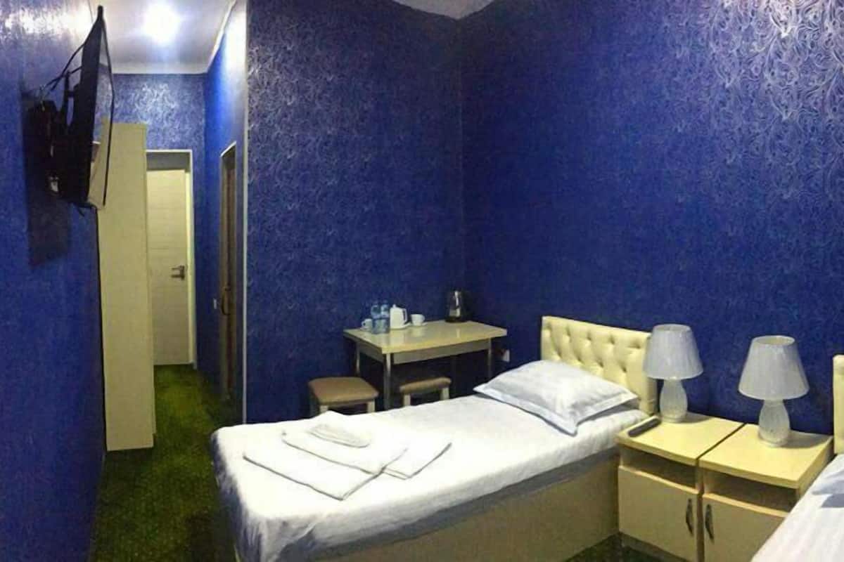 Economy Twin Room | Free WiFi, bed sheets