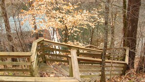 Un escalier en bois mène à un pont également en bois, situé dans une zone boisée où les feuilles mortes jonchent le sol.