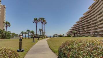 Een pad naar een strandhotel met palmbomen en een heldere lucht.