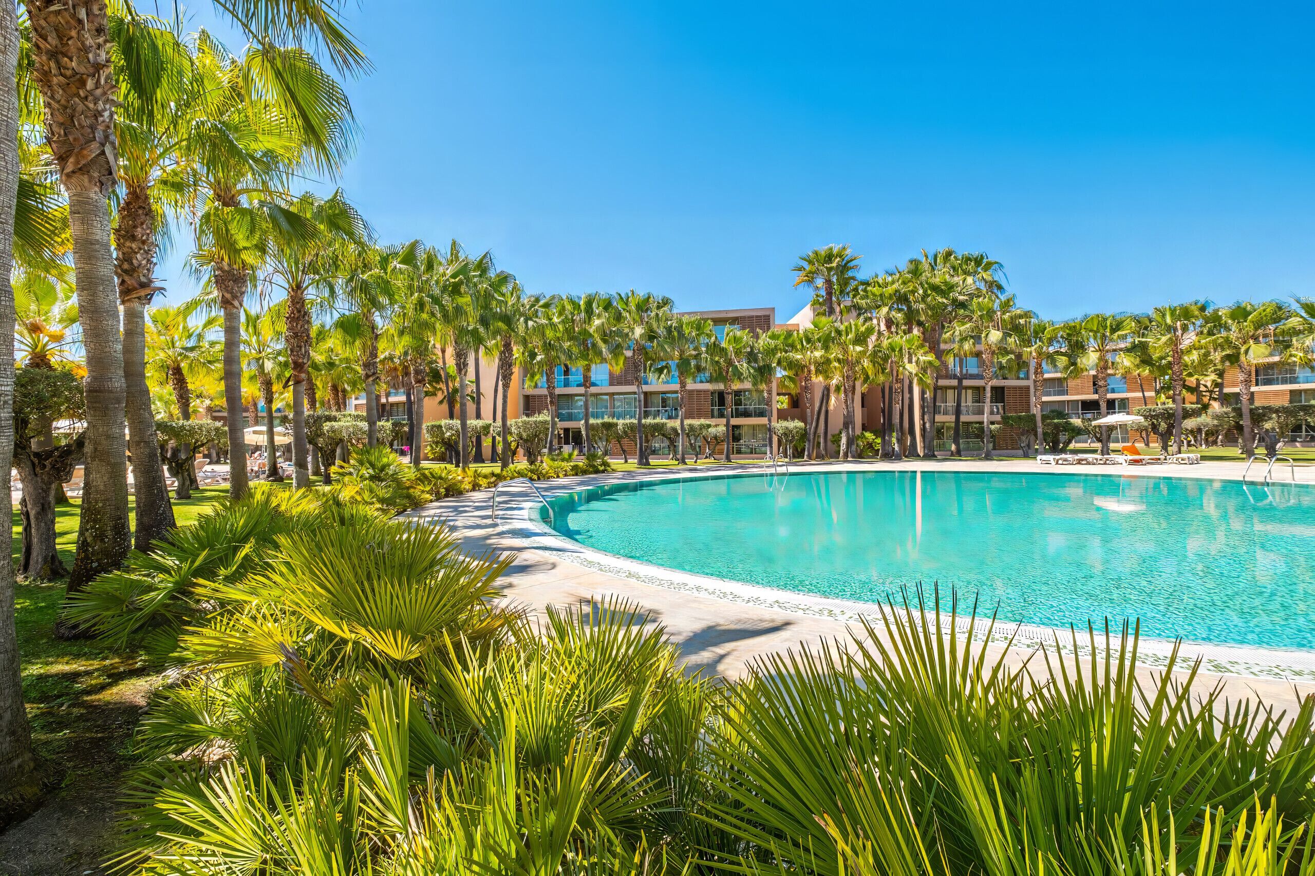 Piscina a l'aire lliure 