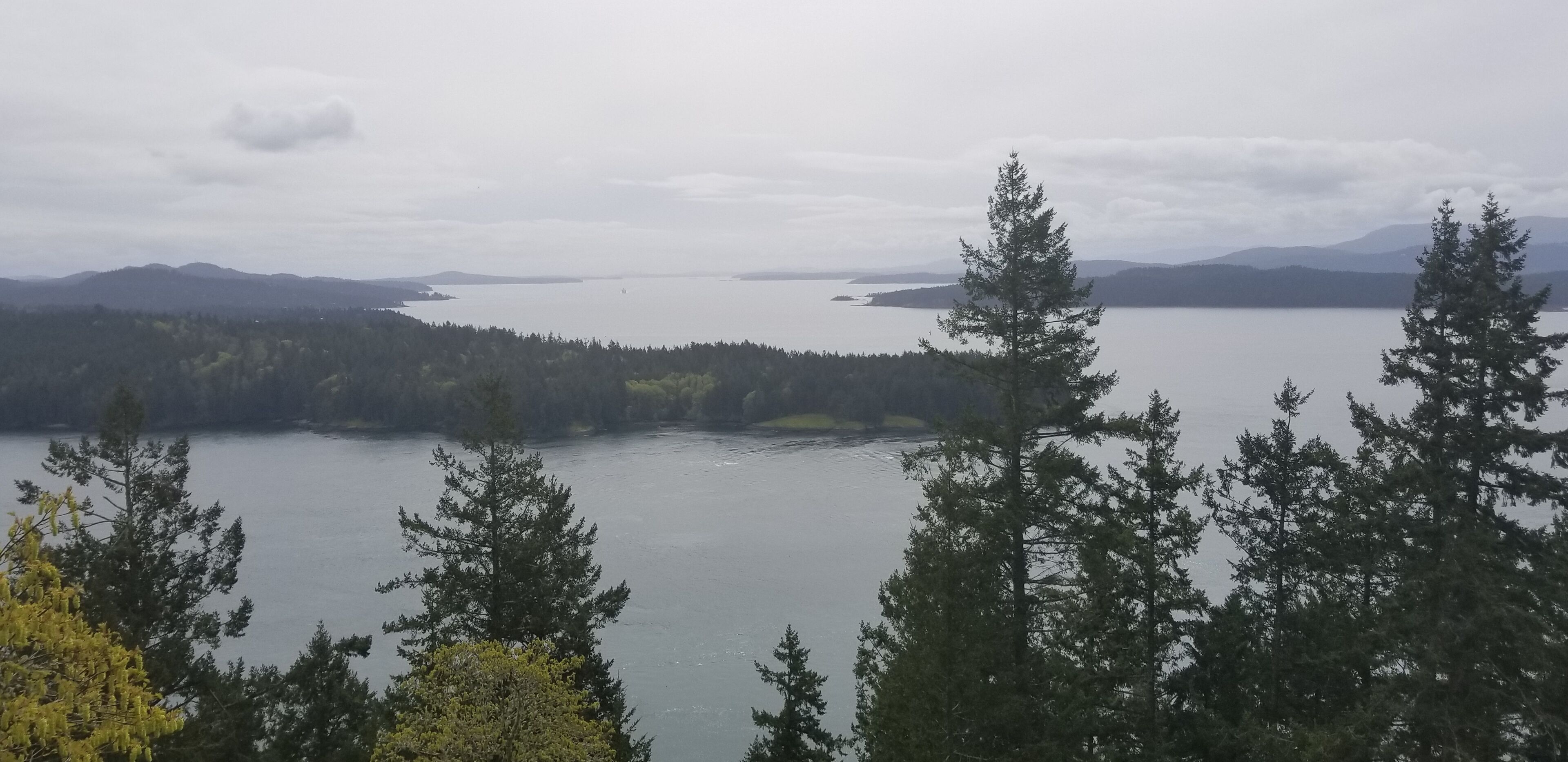 A panoramic view of a lake surrounded by dense forest and distant mountains.