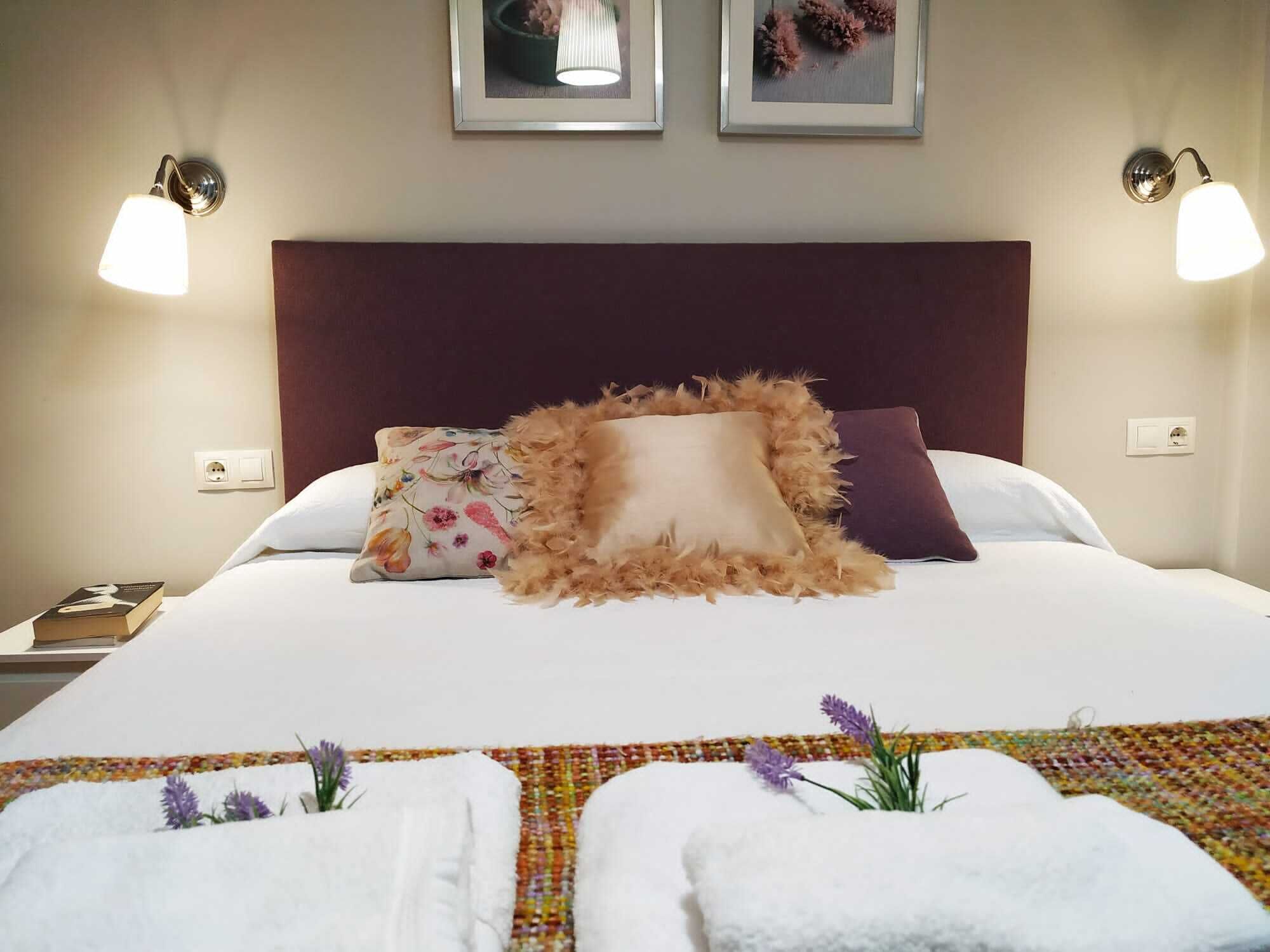 Bright flat Central Burgas Thermal in Historic Center of Ourense.