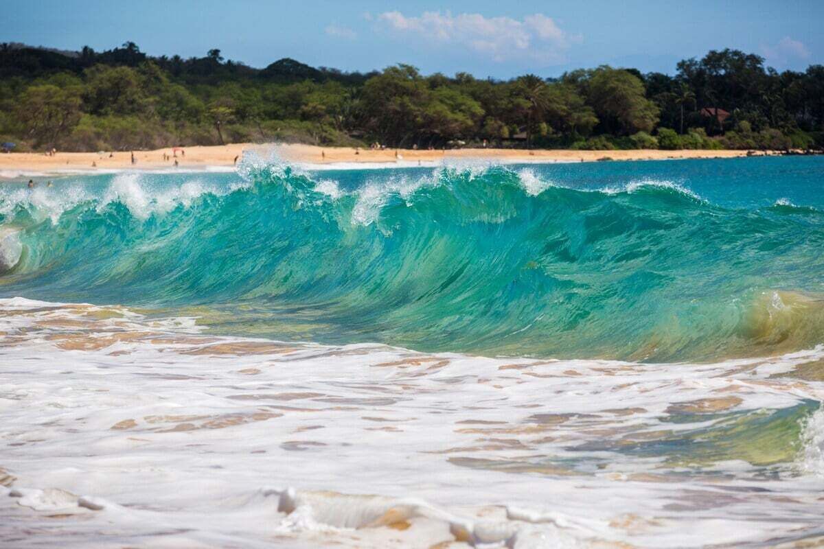 Ubicación cercana a la playa, tumbonas y toallas de playa