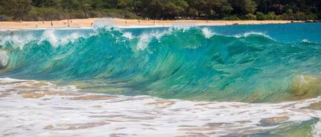 Beach nearby, sun loungers, beach towels