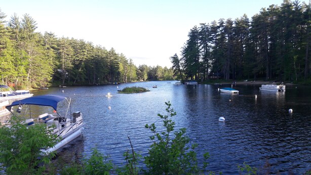 Ein ruhiger See mit anlegenden Booten am Ufer, umgeben von dichtem Wald.
