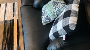 Ein schwarzes Ledersofa mit karierten Kissen und einer kleinen Weihnachtstanne.
