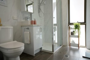 Douche, séchoir à cheveux, serviettes fournies, savon