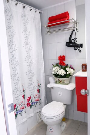 Hair dryer, soap, shampoo, toilet paper