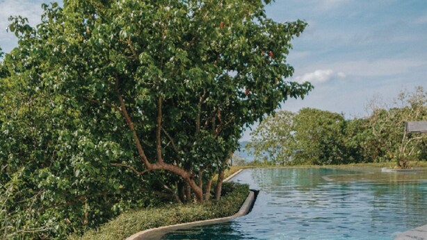 Una piscina con una persona nadando, rodeada de exuberante follaje y árboles.