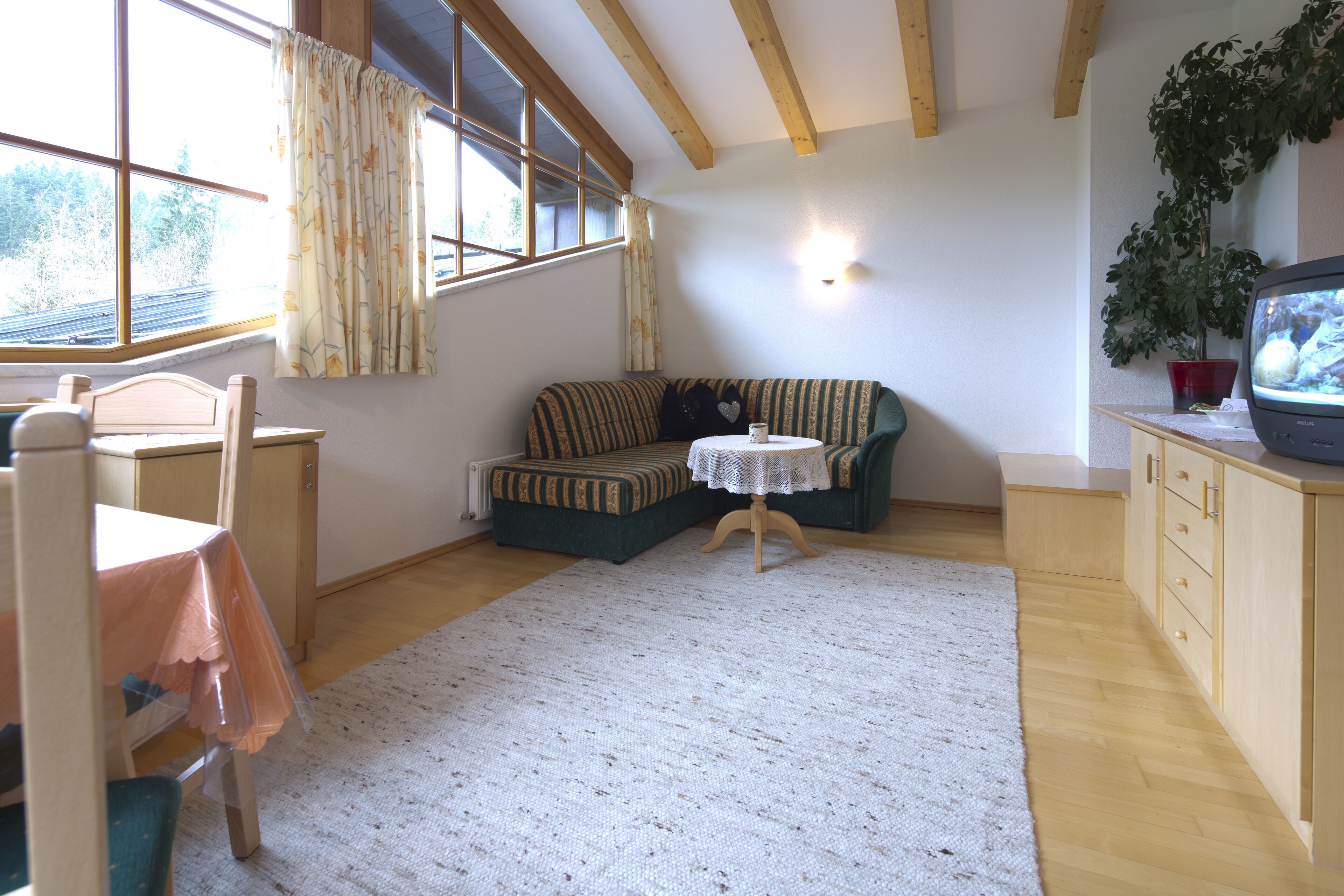Una habitación acogedora con techo de madera, un sofá verde, una mesita, un televisor y una planta en maceta.