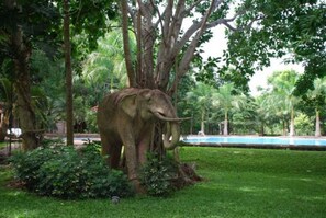 Jardí