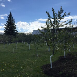 Área da propriedade