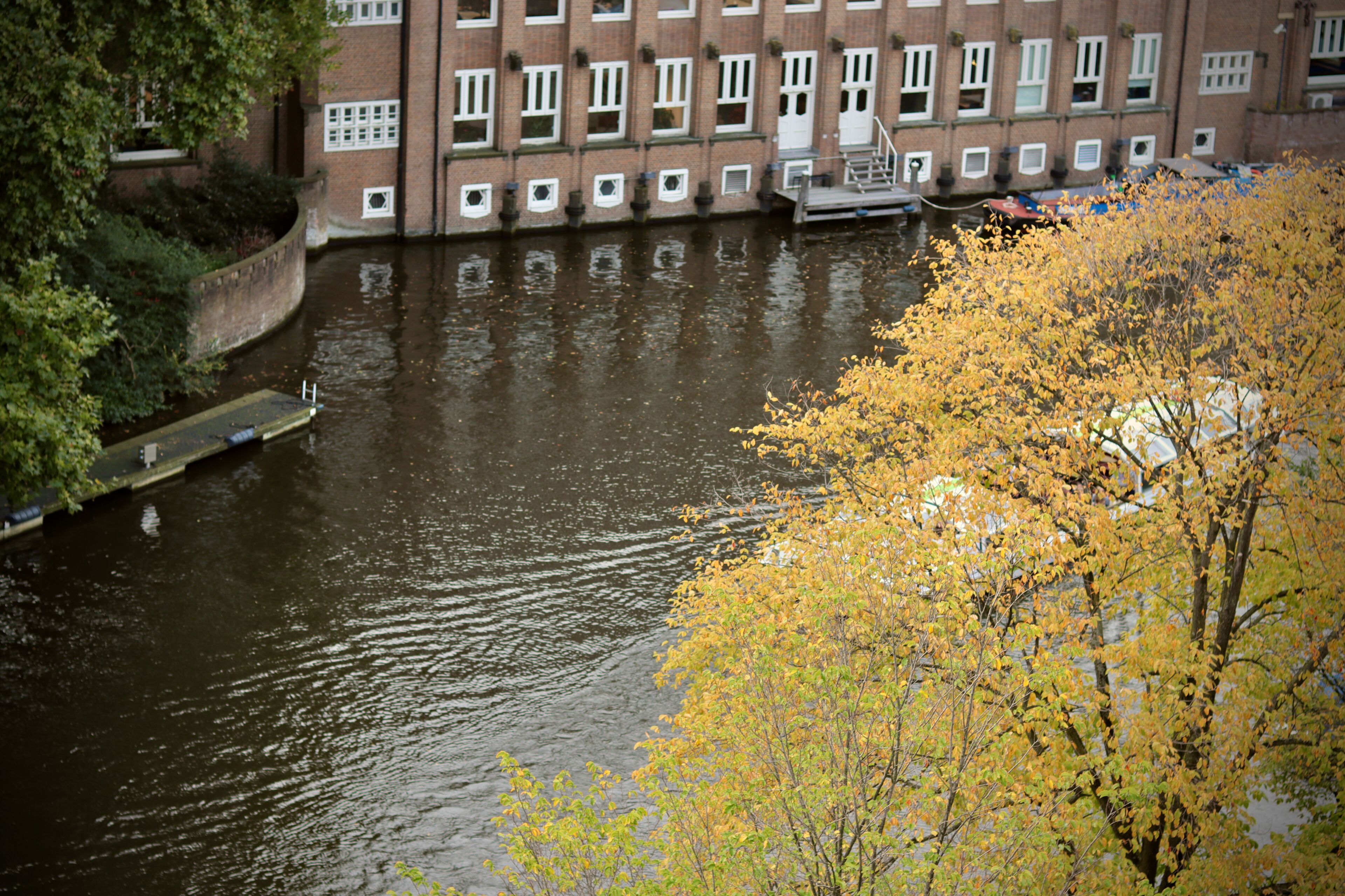 A river with a building in the background, a dock, and autumn foliage.