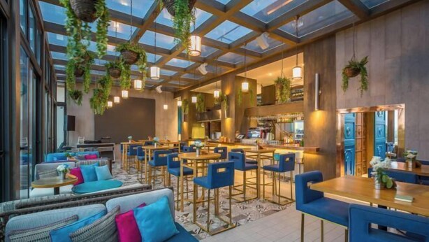 Un intérieur moderne avec un bar, des sièges dotés de chaises bleues et des plantes suspendues.