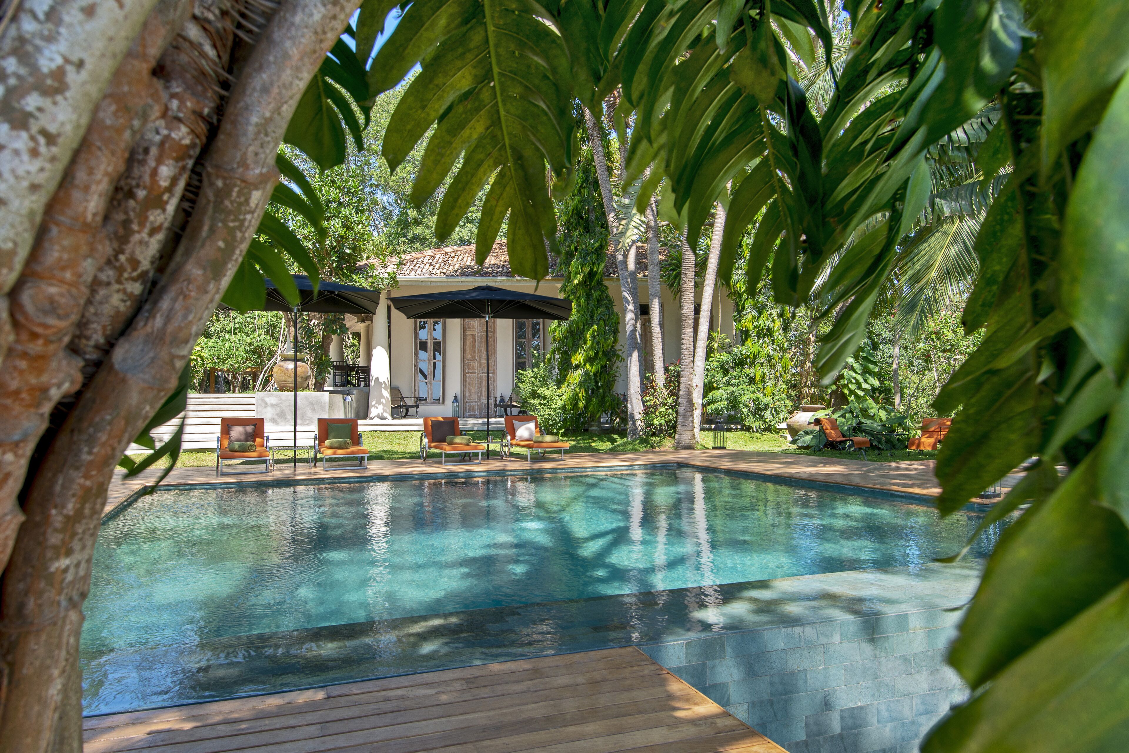 A swimming pool with wooden deck and lounge chairs, surrounded by lush greenery and palm trees.