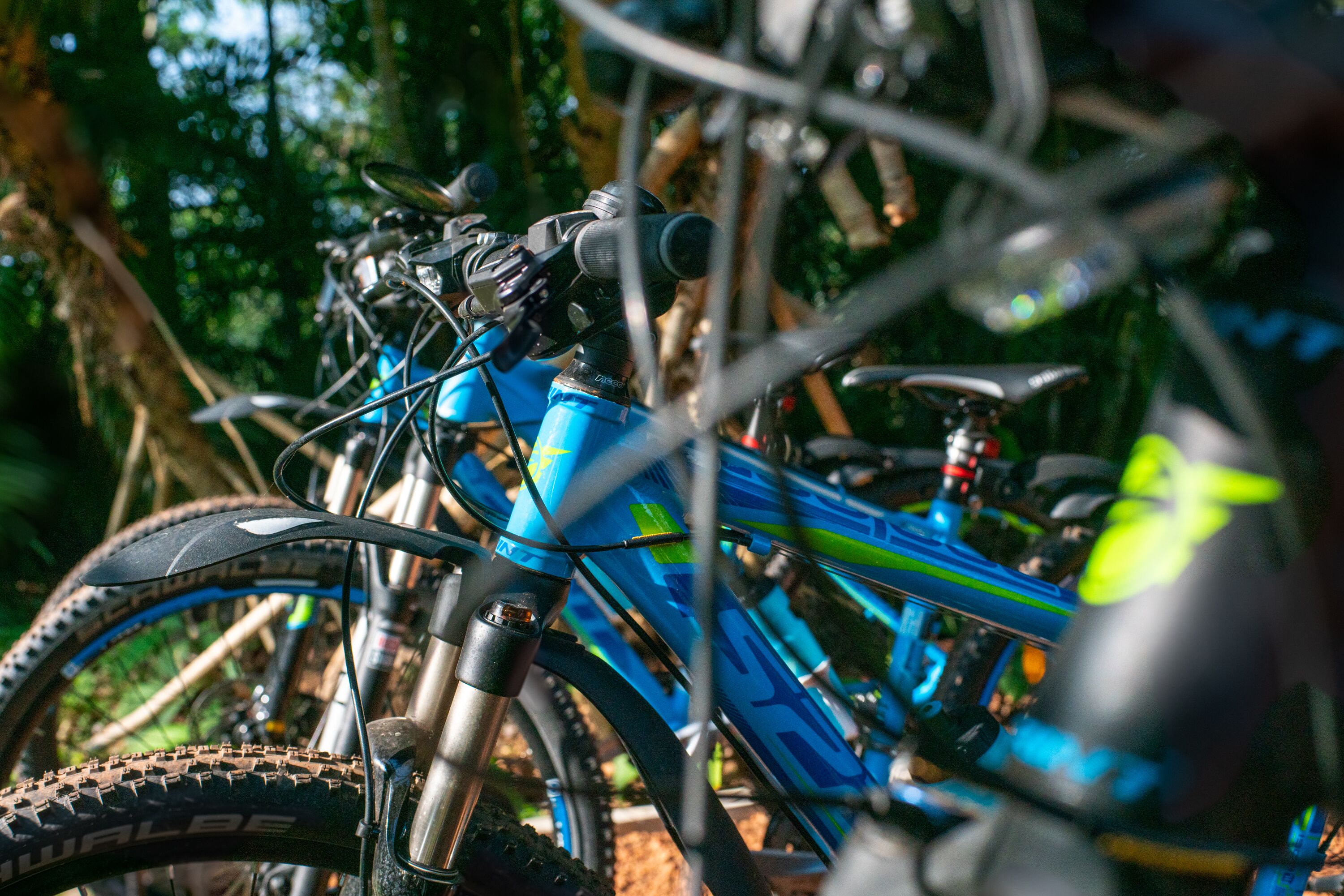 A close-up of a mountain bike with a blue frame, a front suspension fork, and a rear suspension fork.