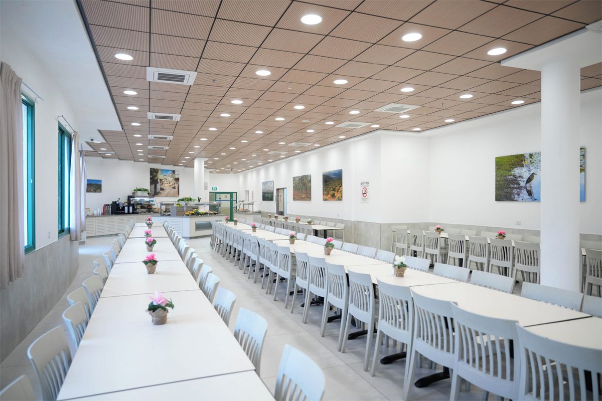 Un comedor amplio con mesas y sillas largas, luces de techo y obras de arte colgadas en la pared.