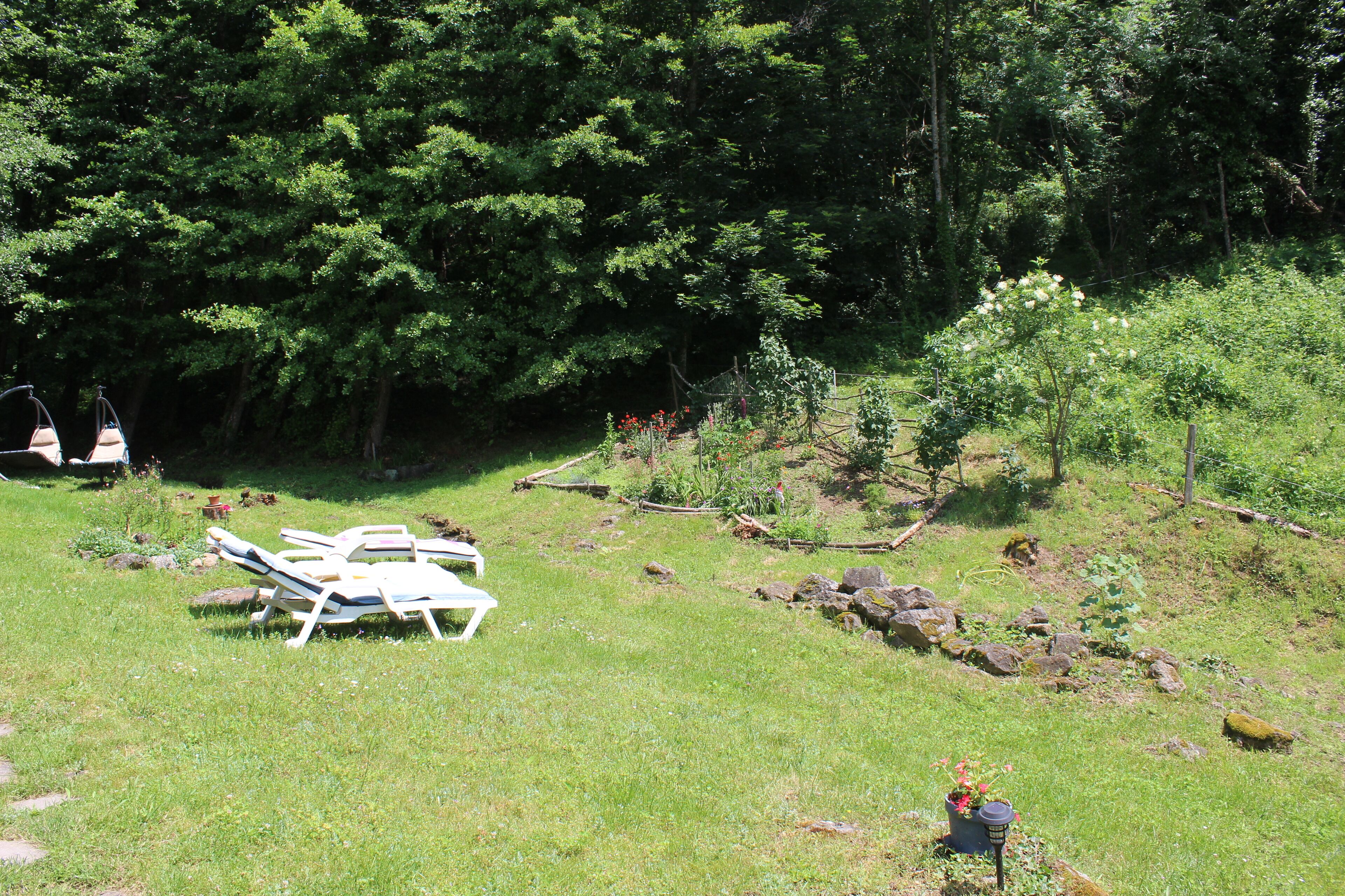 A grassy area with white lounge chairs and a small garden with rocks and plants.