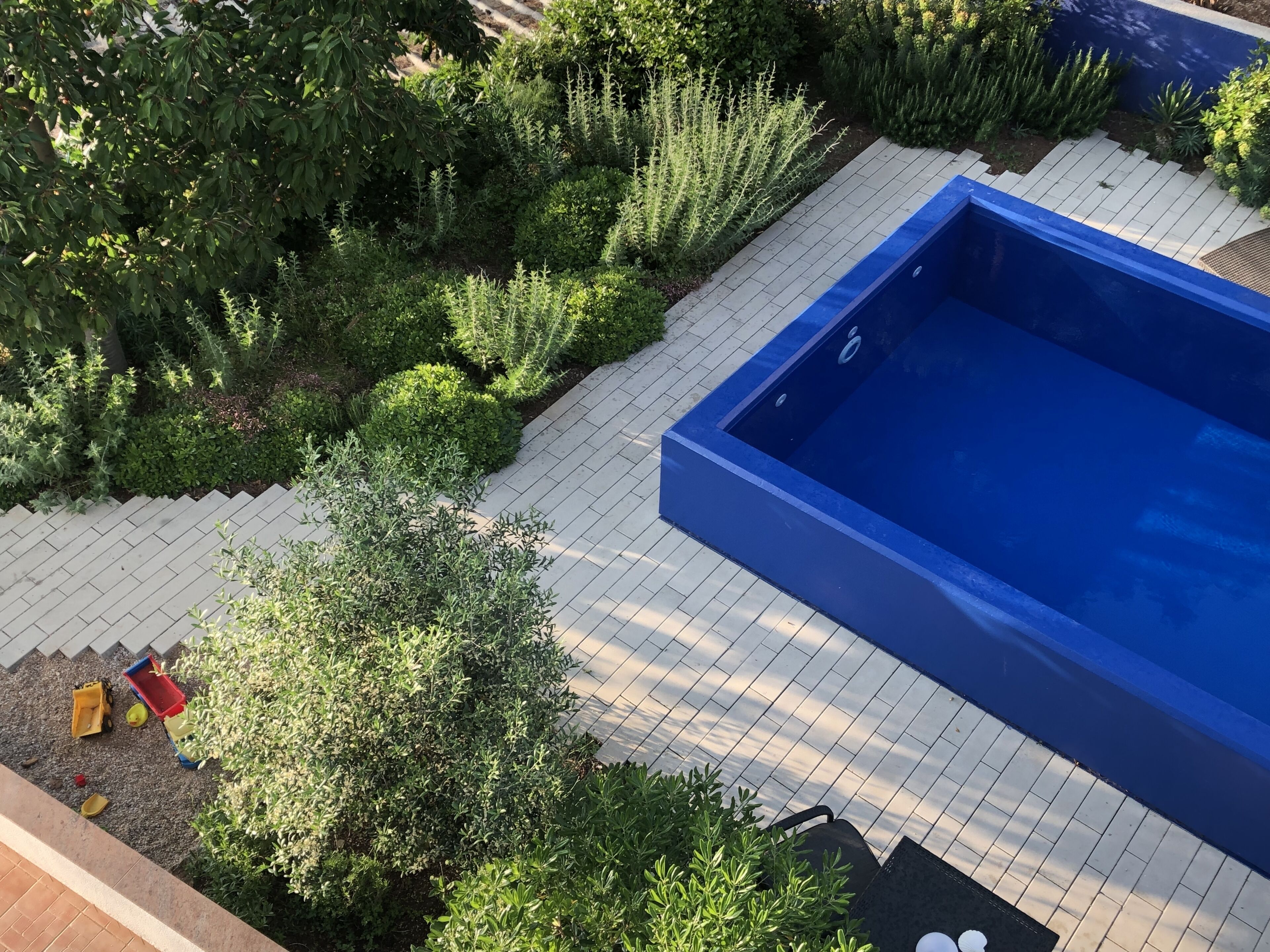 A swimming pool with a tiled deck, surrounded by various shrubs and plants.
