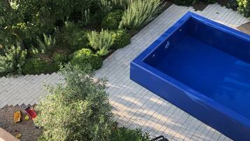 A swimming pool with a tiled deck, surrounded by various shrubs and plants.