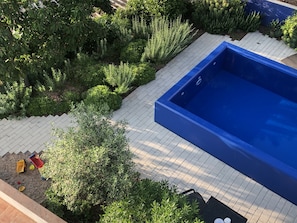 A swimming pool with a tiled deck, surrounded by various shrubs and plants.