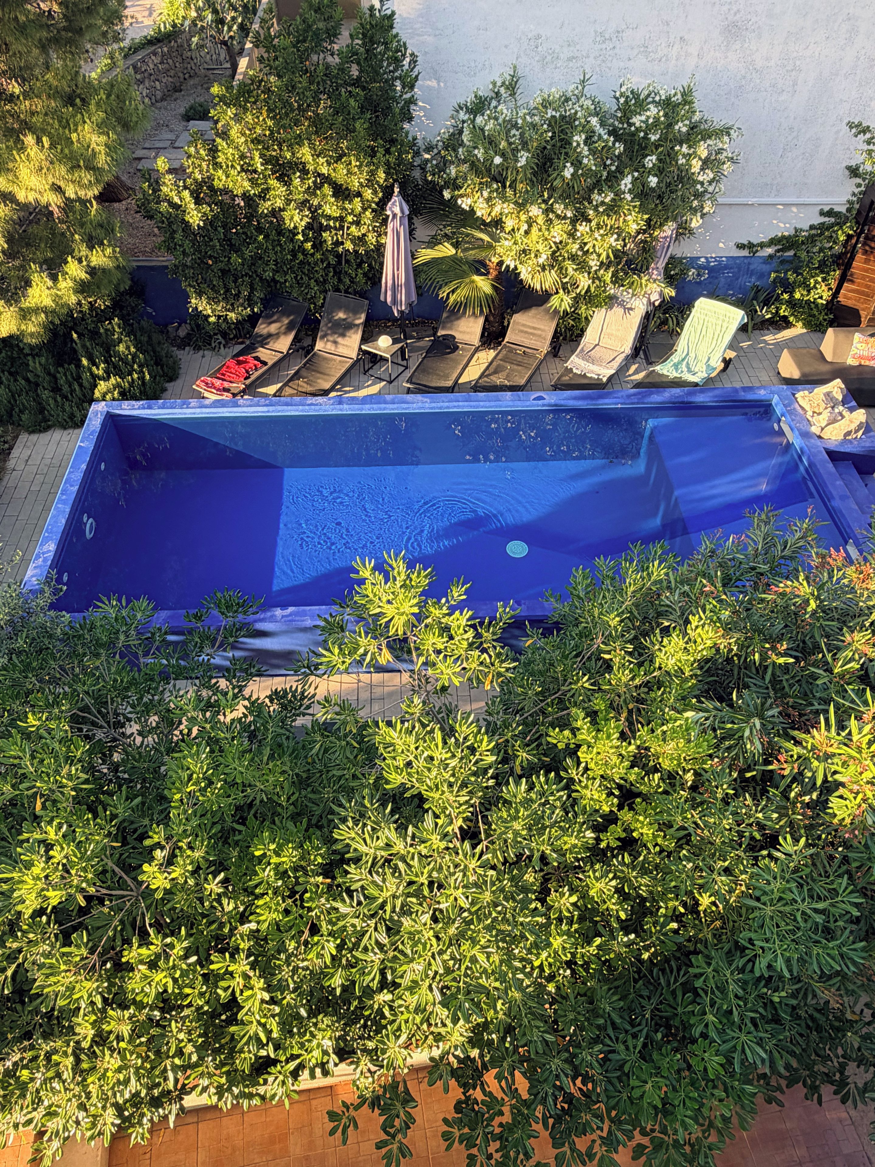 Una piscina rectangular rodeada de exuberante vegetación y un sendero de piedra.