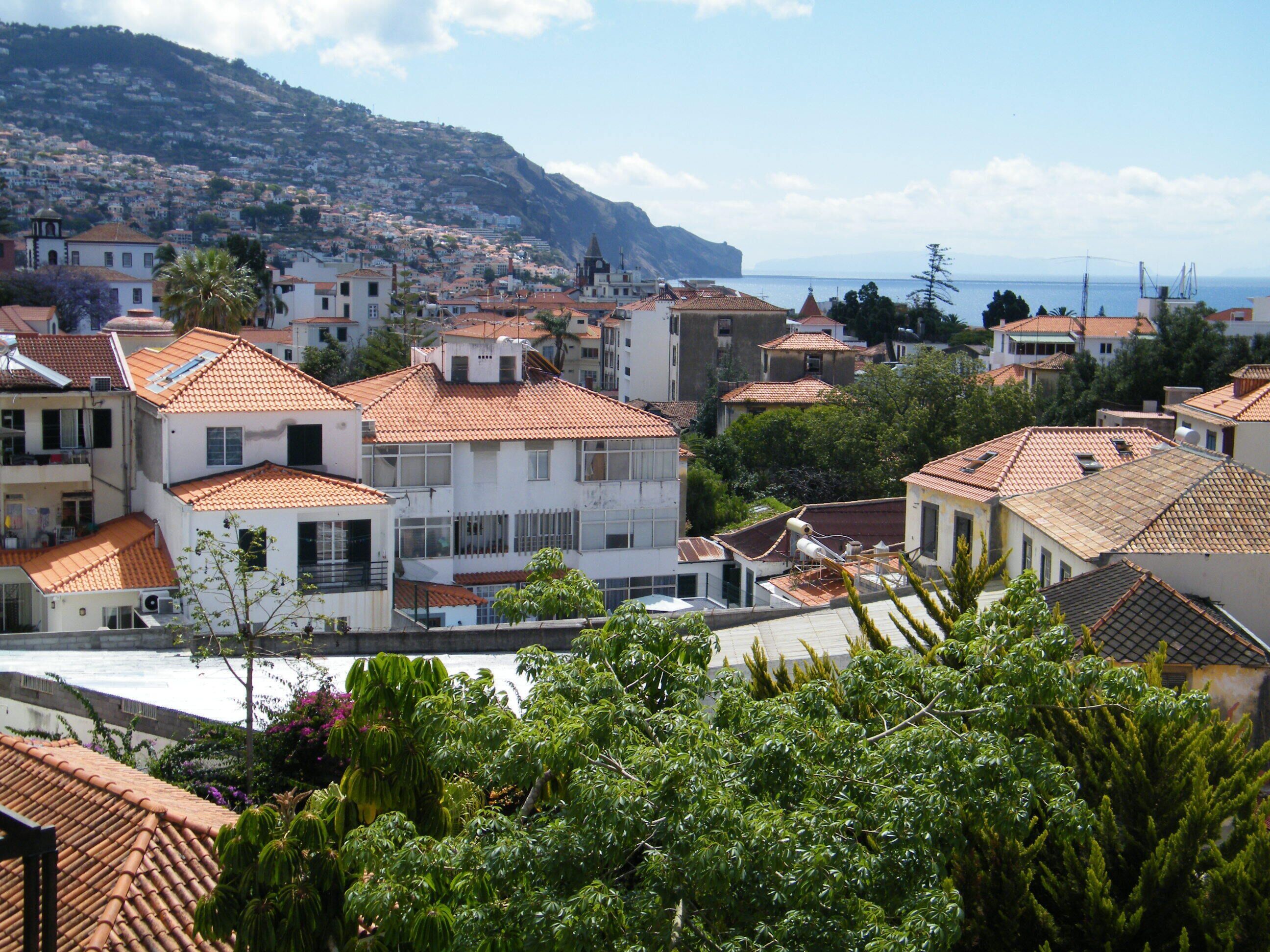 Vista desde la propiedad