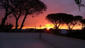 Vista al atardecer con árboles y una farola.