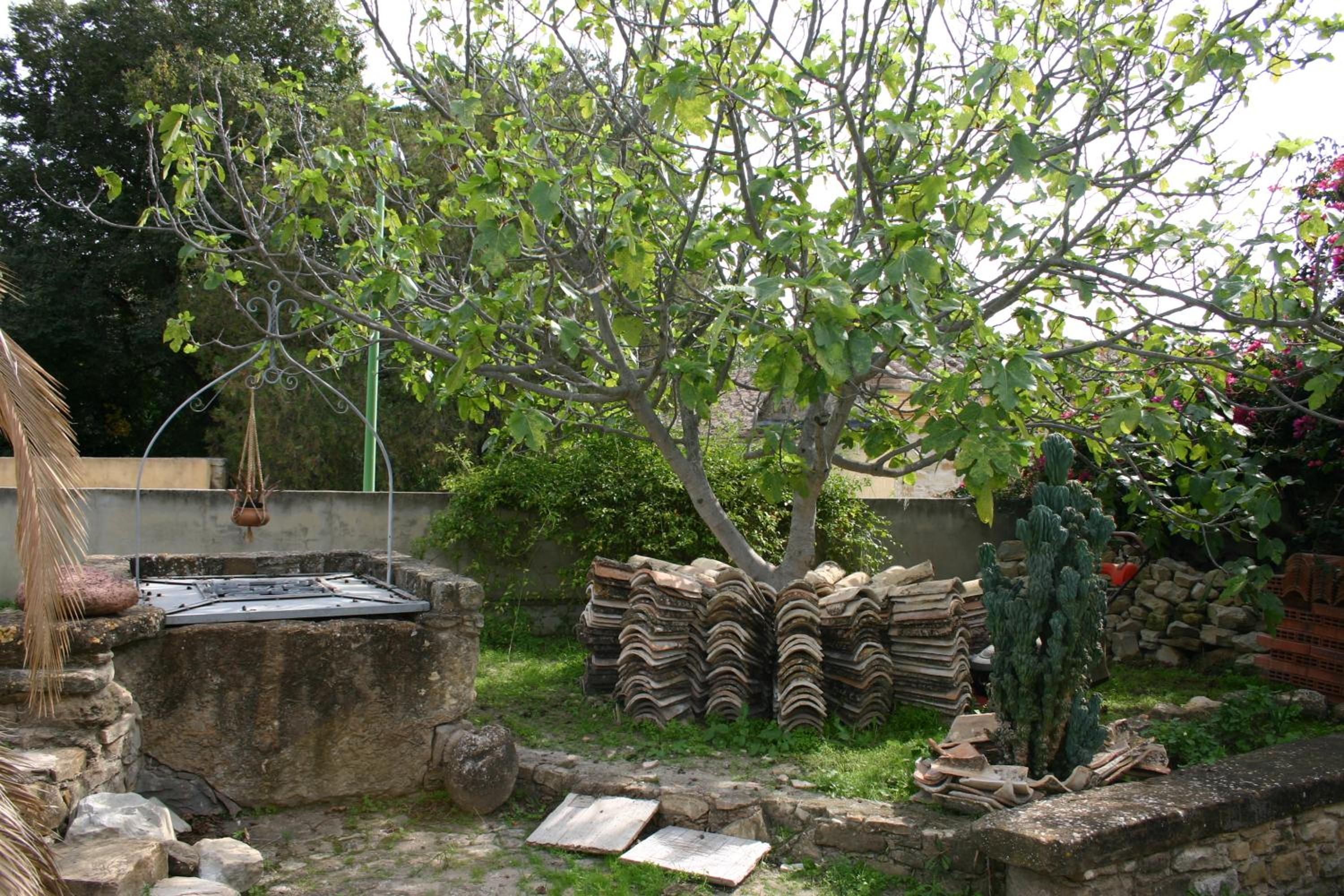 Ein Garten mit einem Baum, einer Metallkonstruktion und einem Stapel Fliesen.
