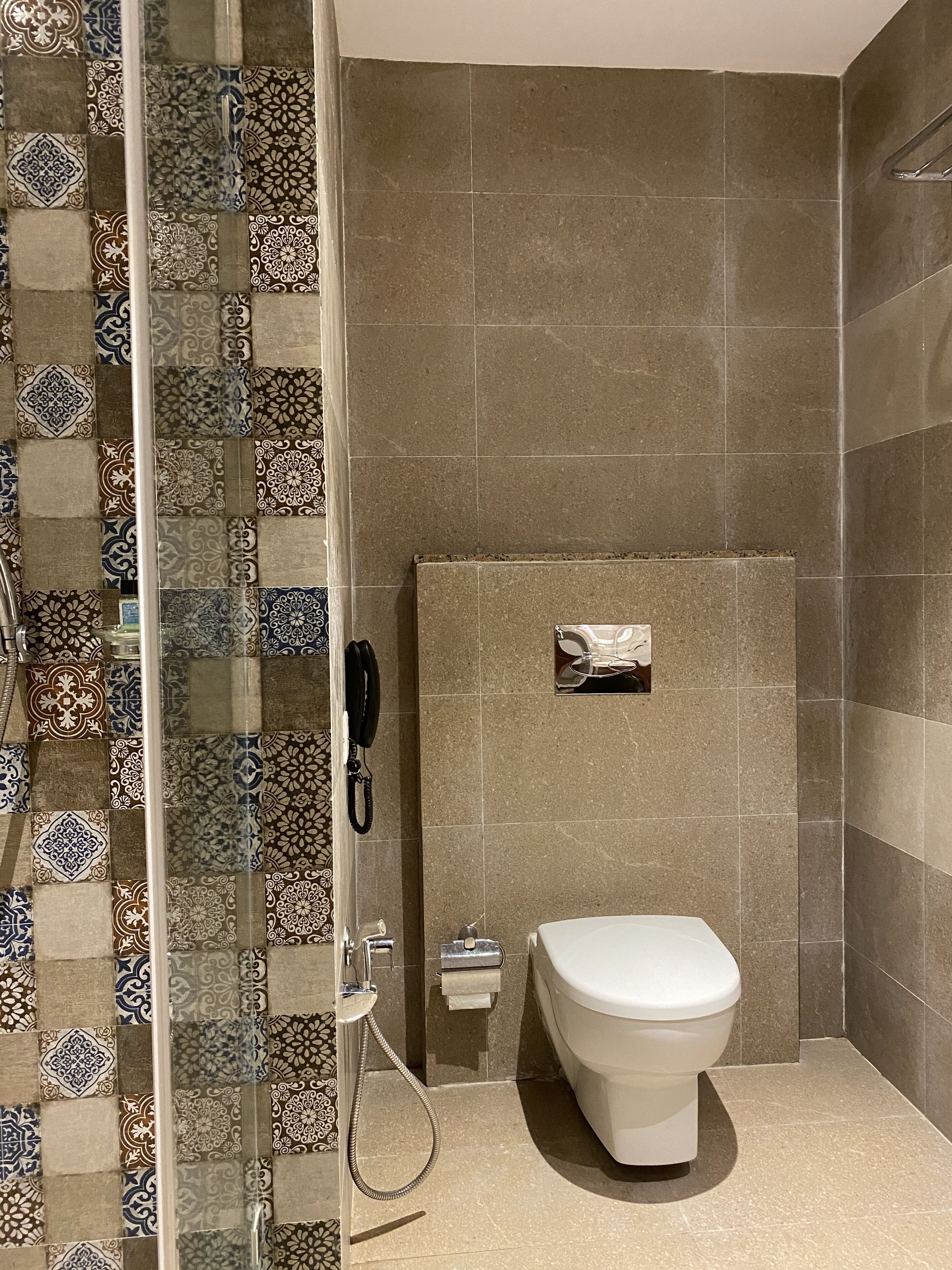 A bathroom with a shower, toilet, and a glass partition.