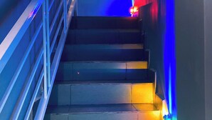 Eine Treppe mit Metallgeländern und Stufen, die von farbigem Licht erhellt werden.